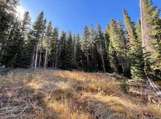 11 Kimmes Lane, Breckenridge, CO 80424