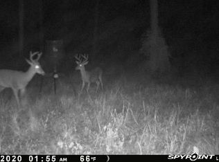 1357 Milton, Quitman, GA 31643