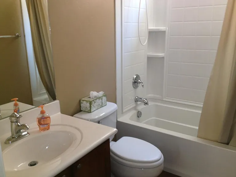 Guest bathroom with tub and shower and great light from window