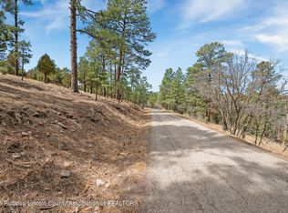 LOT 19 Twin Tree Loop, Alto, NM 88312