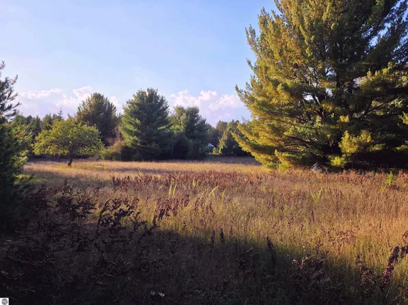 8 Vl Betsie River Rd, Interlochen, MI 49643