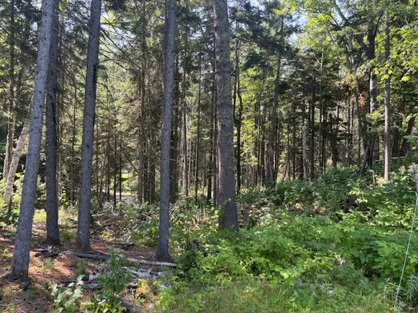 Lot 16 Rabbit Hollow Rd, Lang Twp, ME 04970