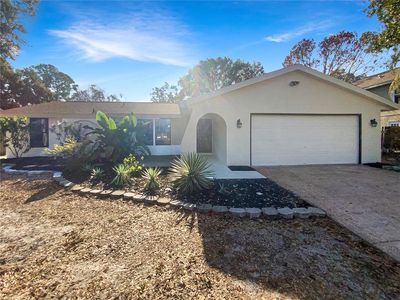 10328 Turkey Oak Dr, New Port Richey, FL, 34654