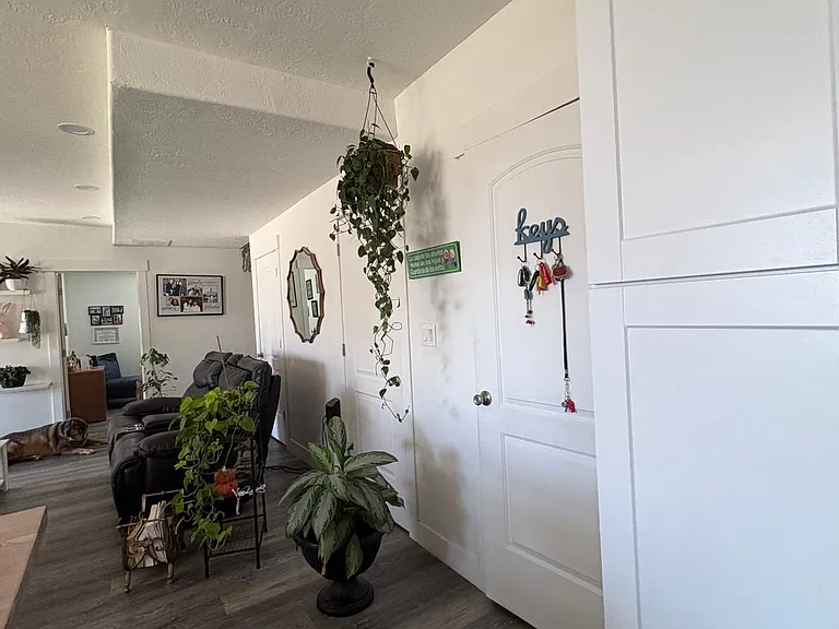 900 N Olson Dr — Photo 16