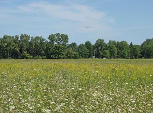 10000 Peet Rd, Chesaning, MI 48616