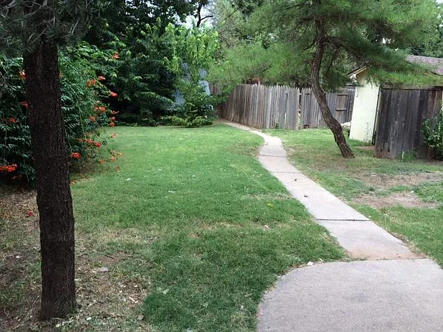 Huge tree covered backyard with privacy fencing