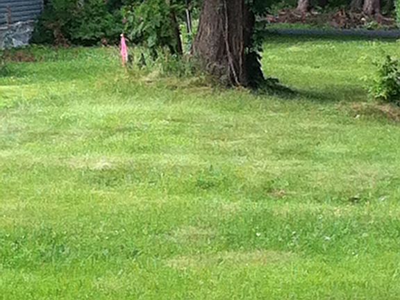 2nd image of 505 507 20th Ave