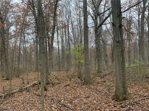 Sterling Rd, Sheffield Lake, OH 44054