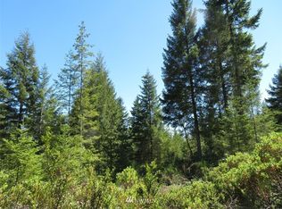 0 NE Black Bear Rd, Belfair, WA 98528