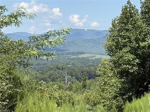 3rd image of Off Bauguess Mill Rd Lot 31
