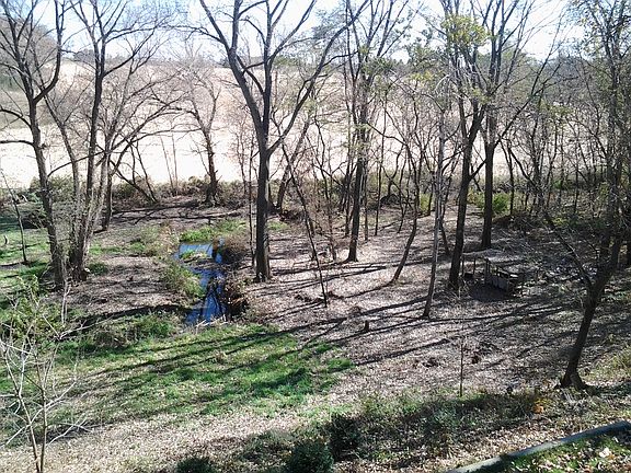back yard w/creek