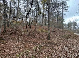 2525 Litmus Ct, Ellijay, GA 30540