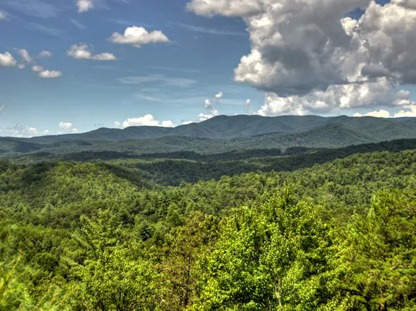 1817 Hidden Lake Dr #3, Cherry Log, GA 30522