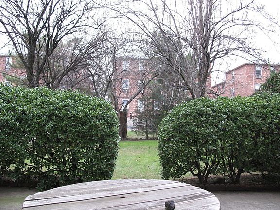 55Ft deep Back Yard from patio