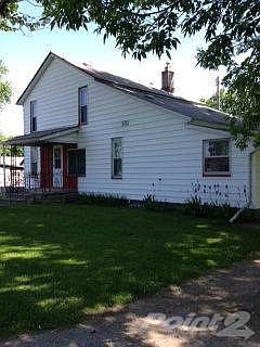 photo 1 (19)
