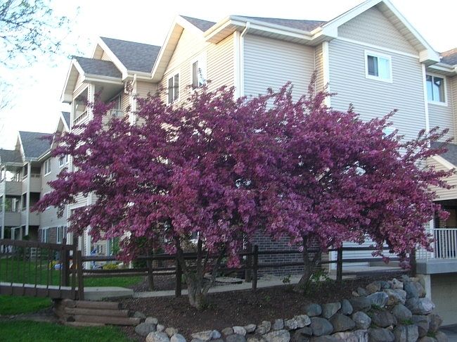 1st image of 1140 Morraine View Dr Unit 108