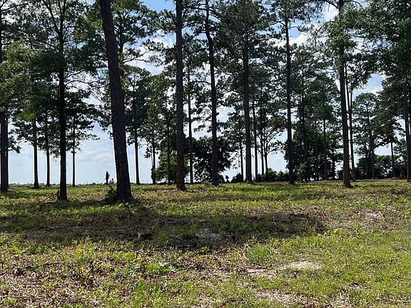 3rd image of LOT 27 Woodlake Ct