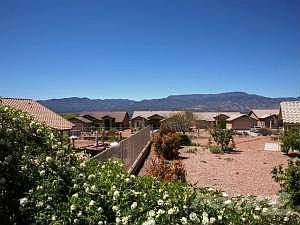 View from Back Yard