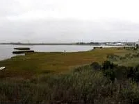 56 Dockside Dr photo 1