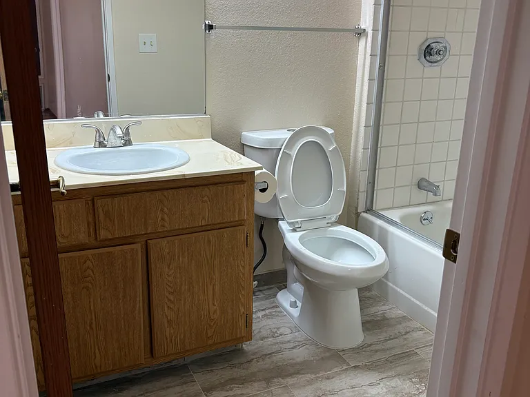 Hall bathroom