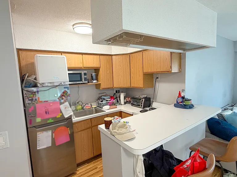 2909 N Sheridan Rd #1901 — Photo 9