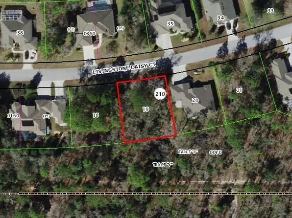 38 Livingstone Daisy Ct, Homosassa, FL 34446