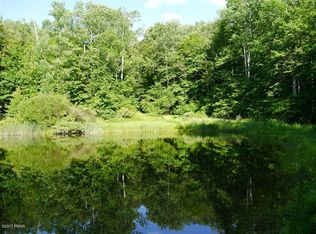 50 Annie Mitchell Rd, Equinunk, PA 18417