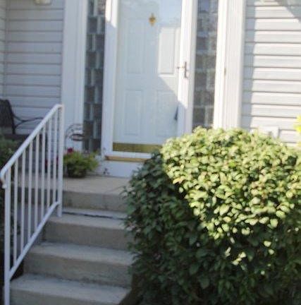 4th image of 117 Aspen Ct