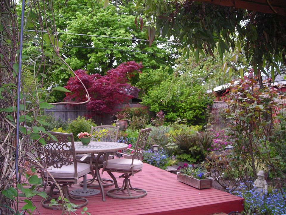Backyard lower deck