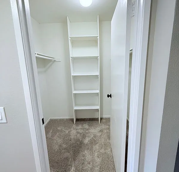26491 Las Palmas #5 — Photo 14