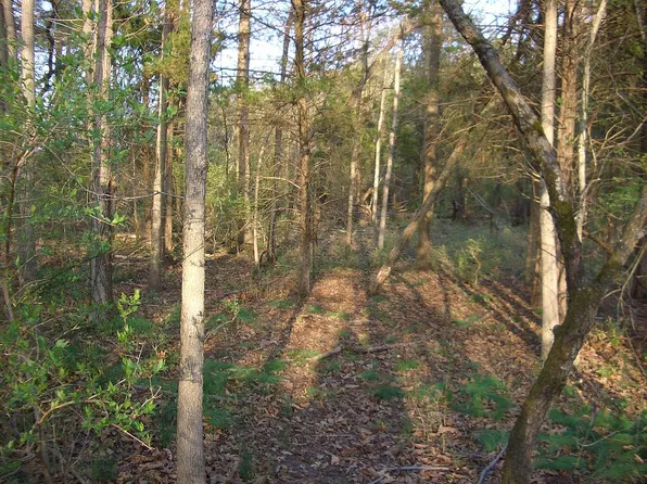 Hay Rd, Hammonton, NJ 08037