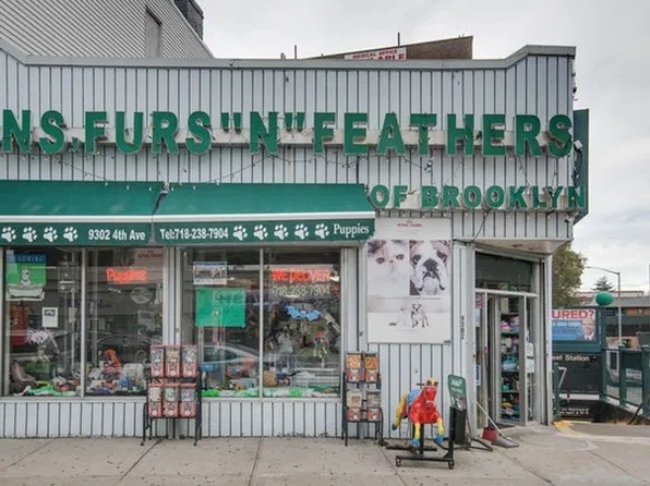 9302 4th Ave, Brooklyn, NY 11209