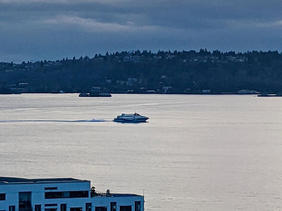 View from Living Room/Bedroom/Deck.