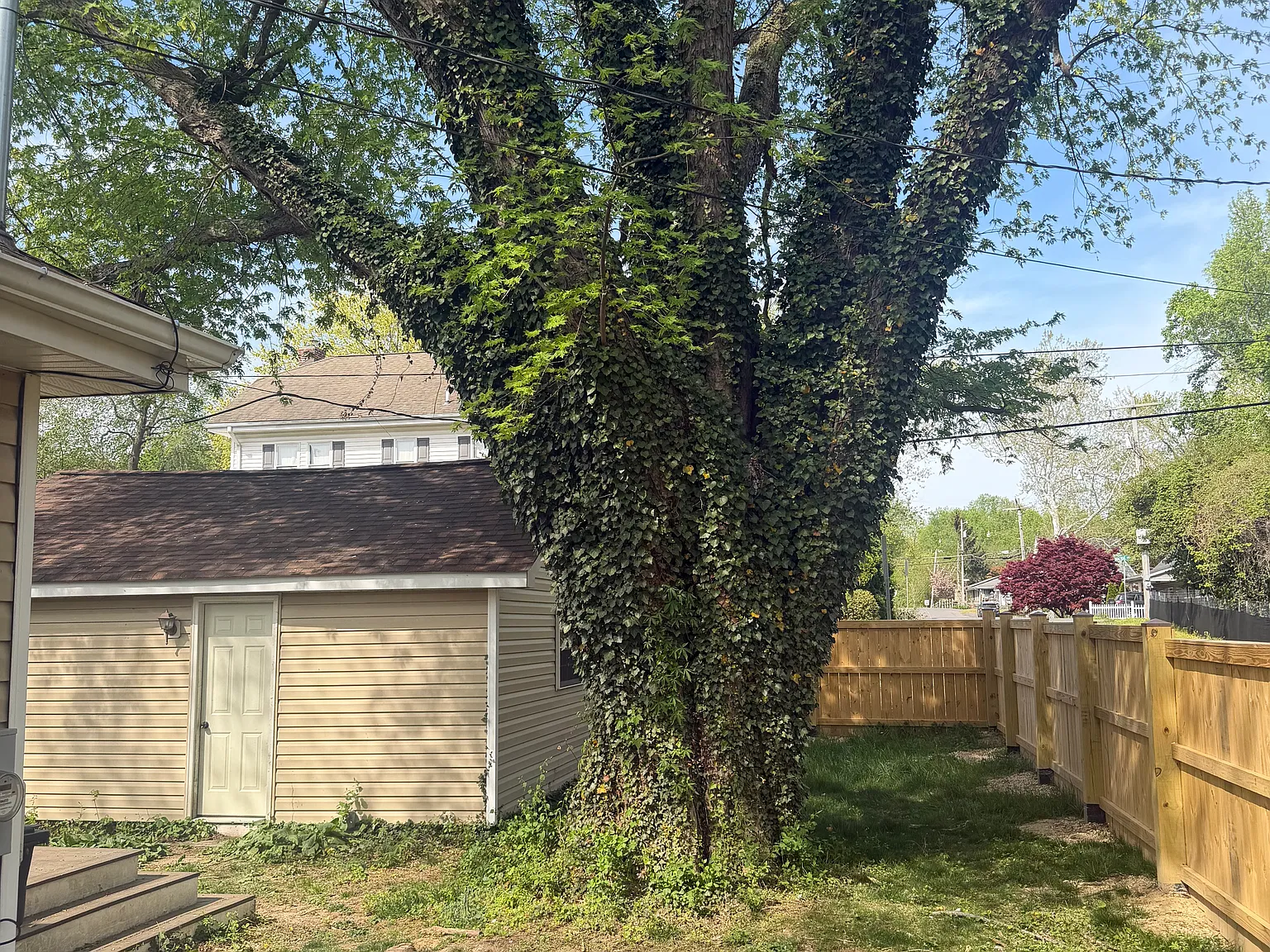 2 bed, 997 sqft, $2,600 — Photo 3