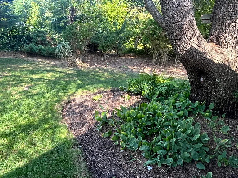 7 Gegan Dr — Photo 21