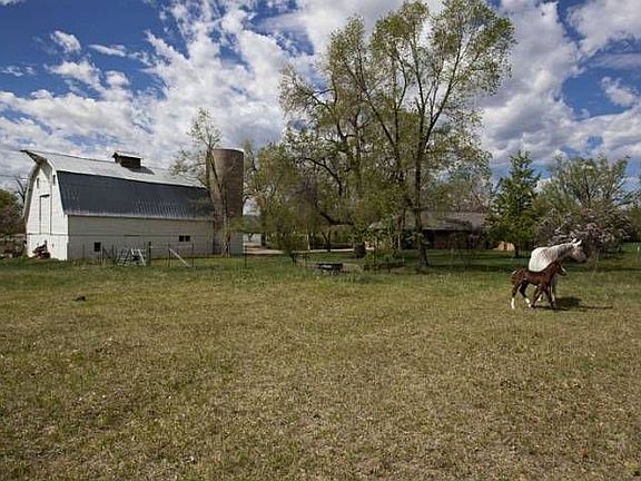 Pastures for Horses