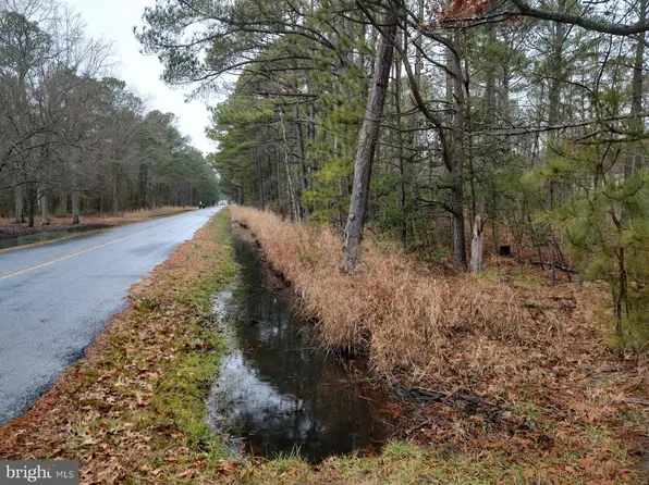 Parsons Dr, Madison, MD 21648