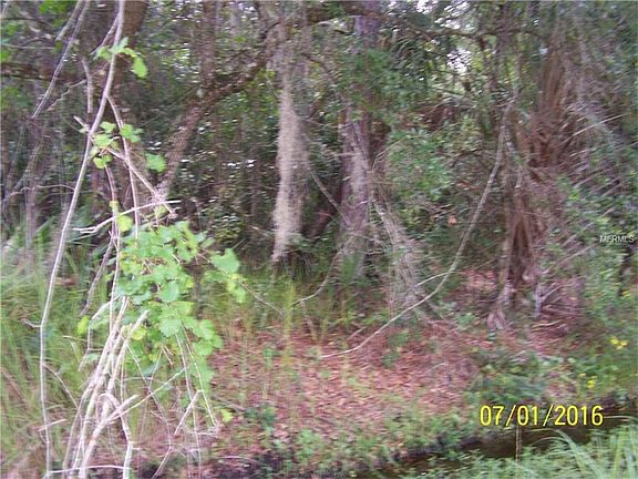 5th image of Yucatan Dr
