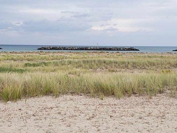 1st image of 85 Winthrop Shore Dr #2