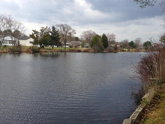 4th image of 262 Harrington Dr N