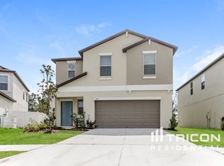 13335 Willow Bluestar Loop, Riverview, FL 33579