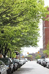 Rented by ELK Investors