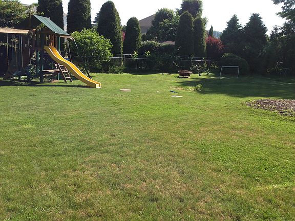 Level back yard