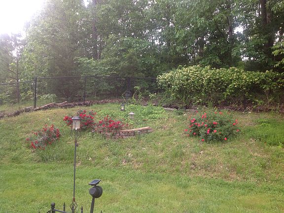 back yard