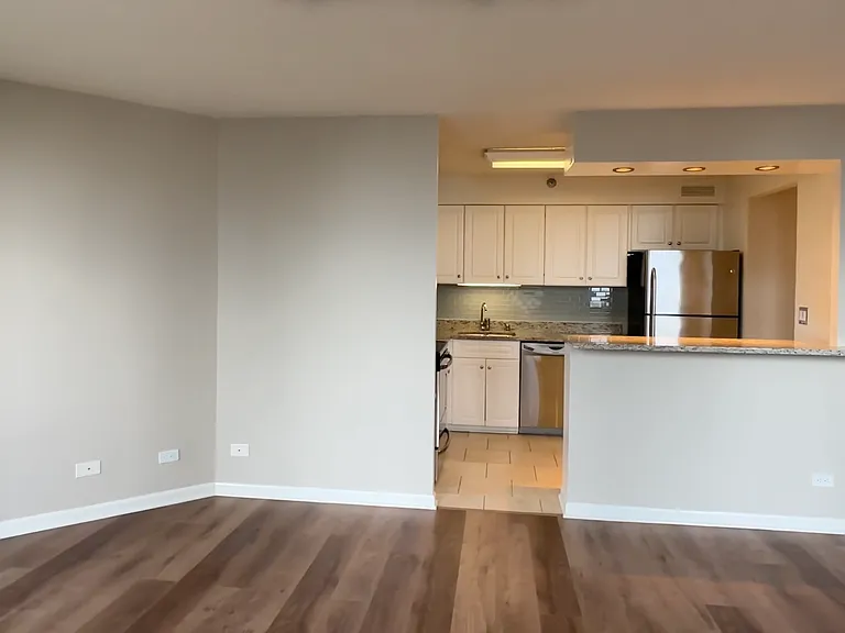 745 N Rush St #3203 — Photo 1