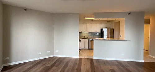 745 N Rush St #3203 Photo 1