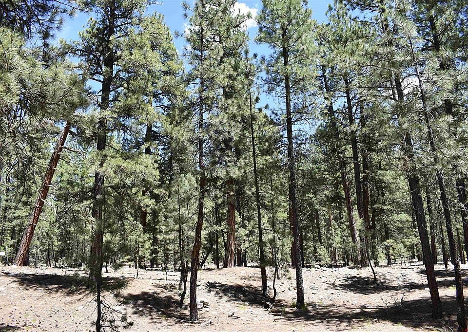 1st image of 80 Ranch Road