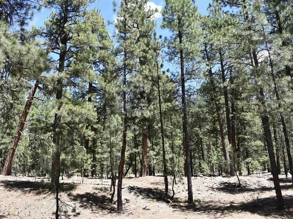 80 Ranch Road, Vallecito Lake/Bayfield, CO 81122