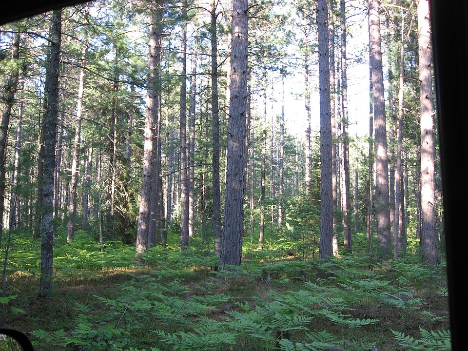 2nd image of Co Rd 450