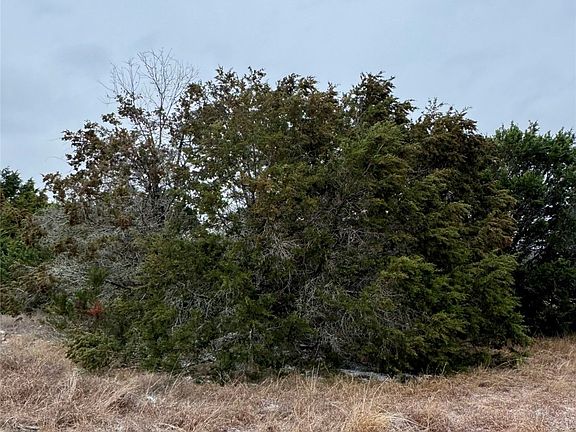3rd image of 11101 Juniper Dr